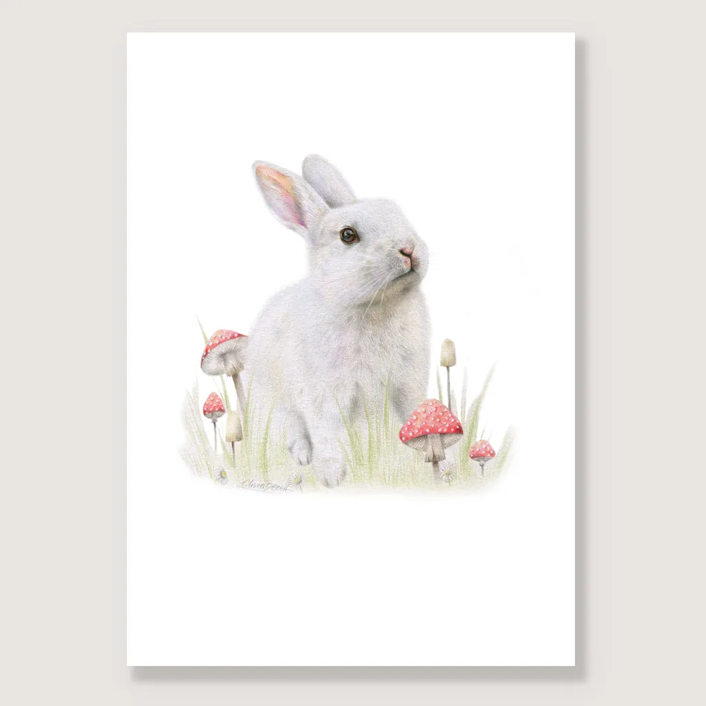 SALE - White Rabbit print A4